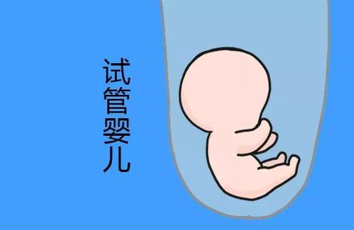 试管捐卵机构